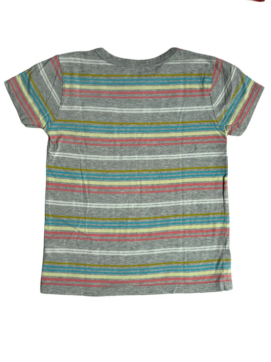 Crewcuts Grey Multicolor Striped T-Shirt (4-5Y)