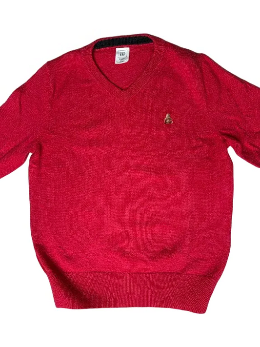 Baby Gap Red Sweater (4Y)