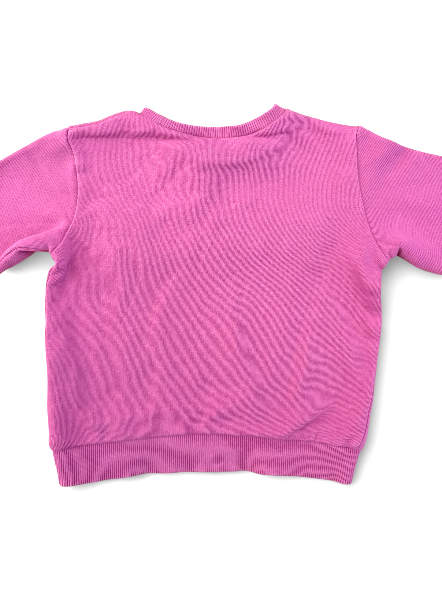 United Colors of Benetton Pink Rock Sweatshirt (18-24 Monate)